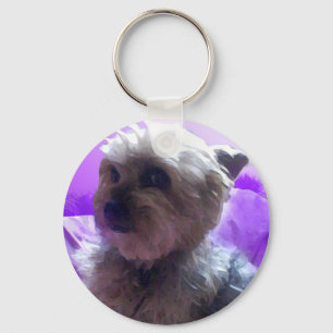 CHAVEIRO "rochoso "