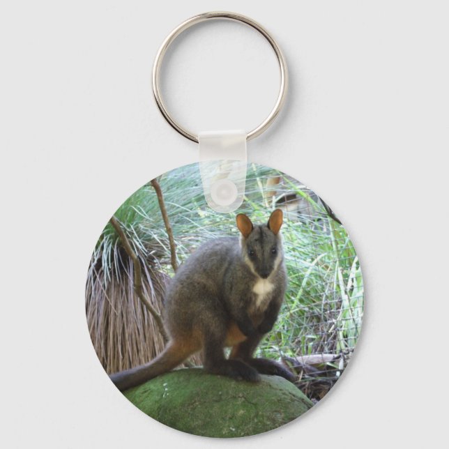 Chaveiro Rock Wallaby Key Ring (Frente)