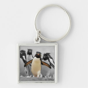 Chaveiro Rockhopper Penguins