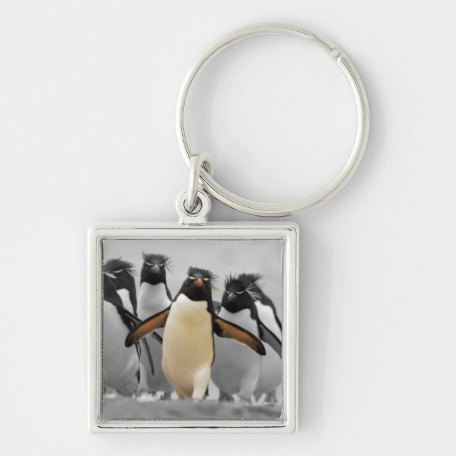 Chaveiro Rockhopper Penguins (Frente)