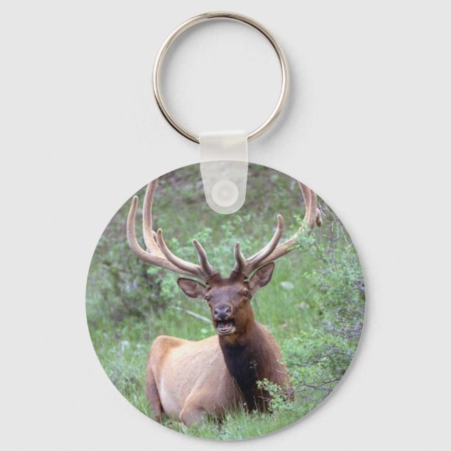 Chaveiro Rocky Mountain Elk (Frente)