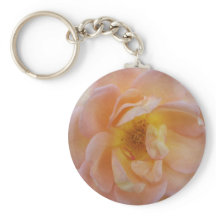 Rosa de cor de pêssego