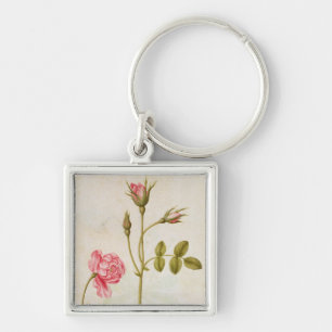 Chaveiro Rosa do rosa, c.1568