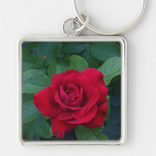 Chaveiro Rosa Vermelha de Perto