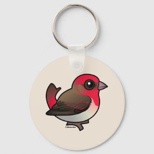 Chaveiro Rosefinch comum bonito