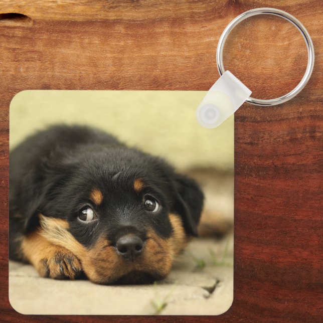 Chaveiro Rottweiler (Verso)