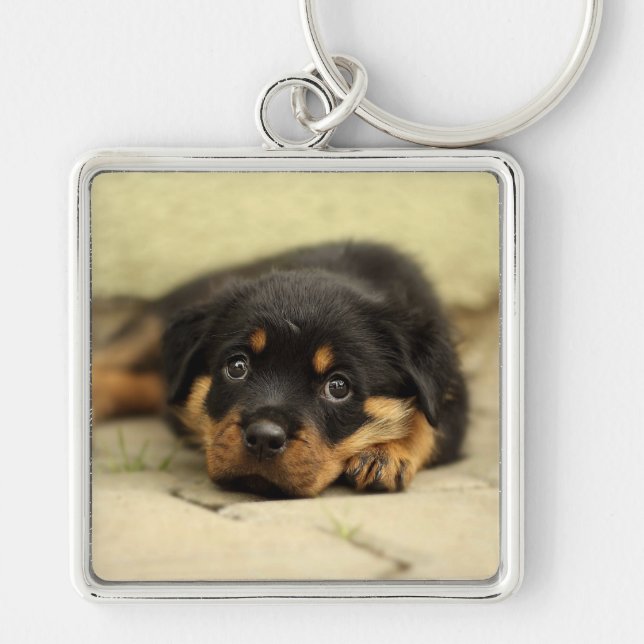 Chaveiro Rottweiler20150901 (Frente)