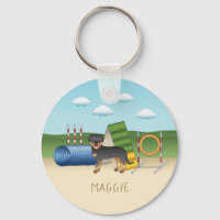 Rottweiler Preto e Castanho com Equipamento de Agi