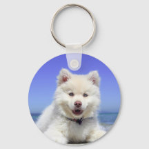 Rouco branco com olhos azuis