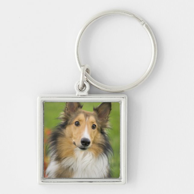 Chaveiro Rough Collie, cão (Frente)