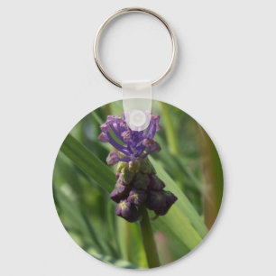 Chaveiro roxo da flor