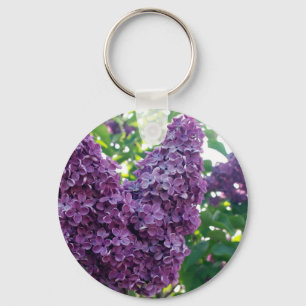 Chaveiro roxo dos Lilacs