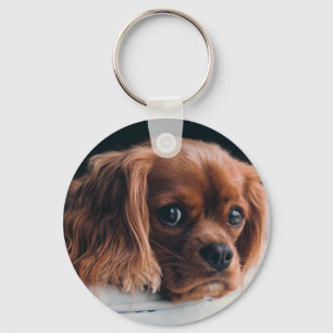 Chaveiro Ruby Cavalier King Charles Spaniel Dog