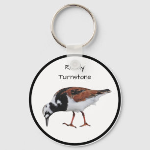 Chaveiro Ruddy Turnstone