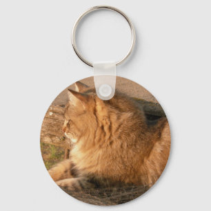 Chaveiro Rum Tum Tiggle