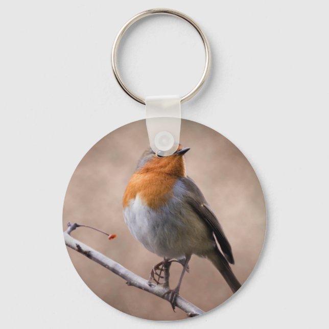 Chaveiro Rustic Robin Keyring (Frente)