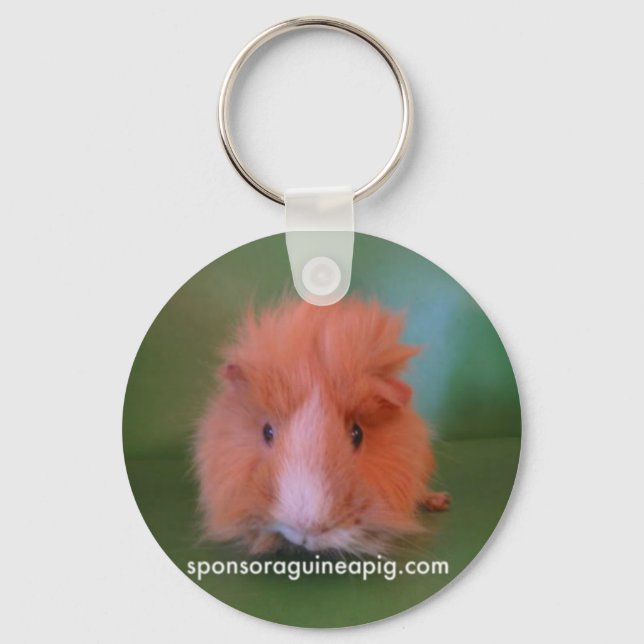 CHAVEIRO SAGP (Frente)