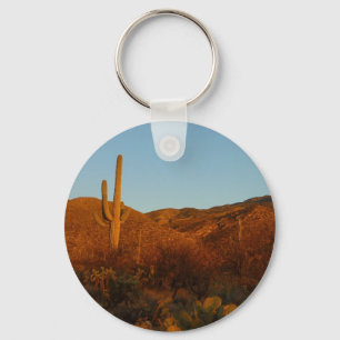 Chaveiro Saguaro Sunset I Arizona Desert Landscape