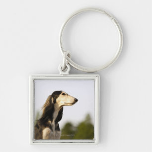 Chaveiro Saluki 2