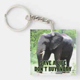 Chaveiro Salve a vida de um elefante, não Comprar a marfim