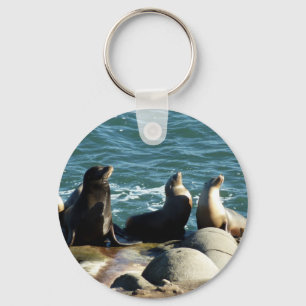 Chaveiro San Diego Sea Lions