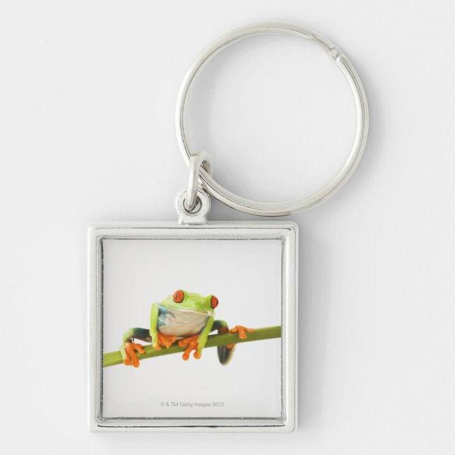 Chaveiro Sapo de árvore na haste (Frente)