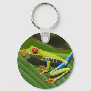 Chaveiro Sapo verde