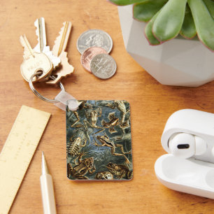 Chaveiro Sapos e Escorpiões Antigos Batrachia por Ernst Hae