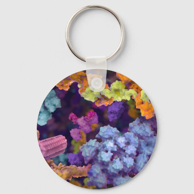 CHAVEIRO SB (Frente)