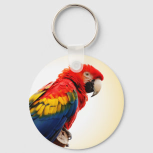 Chaveiro Scarlet Macaw