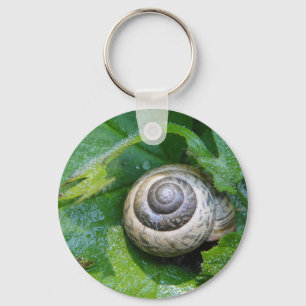 Chaveiro Schlüsselanhänger hübsche Schnecke