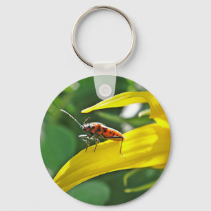 Chaveiro Schlüsselanhänger Roter Punktekäfer