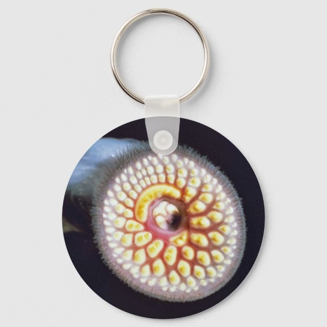 Chaveiro Sea Lamprey (Frente)
