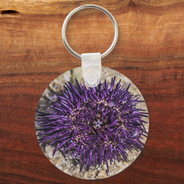 Chaveiro Sea Urchin Ocean Beach Holiday Summer Souvenir (Frente)