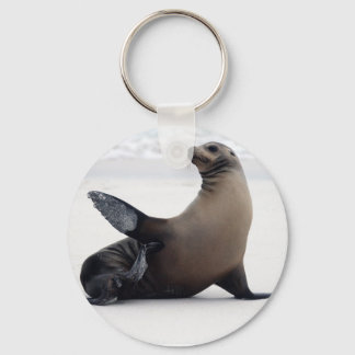 Chaveiro Sealion