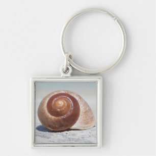 Chaveiro Seashell na praia St Petersburg, Fl