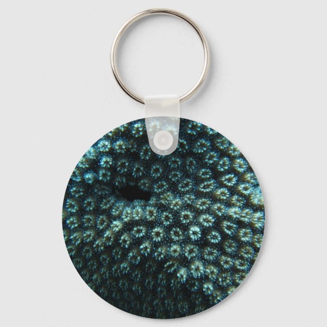 Chaveiro Seepocken (Frente)