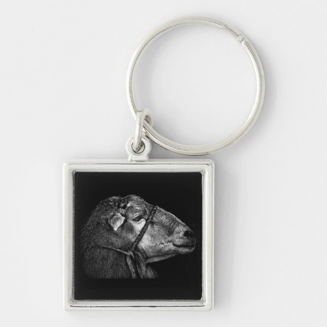 Chaveiro seguindo (Frente)