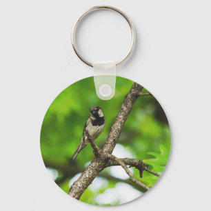 Chaveiro Sentado Por Aí