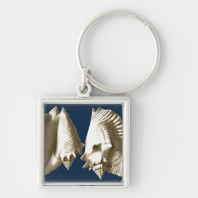 Chaveiro Sepia Conch Seashells (Frente)