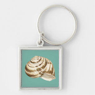 Chaveiro Sepia Striped Shell on Teal