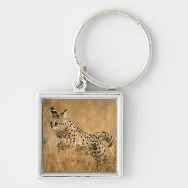 Chaveiro Serval (Leptailurus Serval) Saltando (Frente)