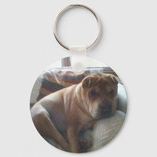 Chaveiro Shar-Pei