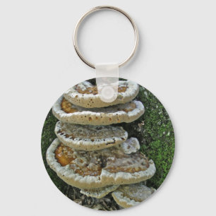 Chaveiro Shelf Fungi em Stump