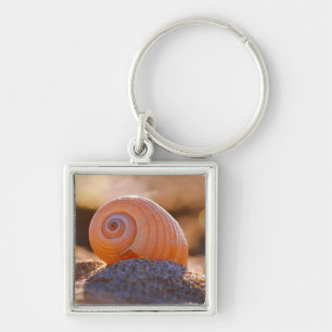Chaveiro Shell Bokeh Greece