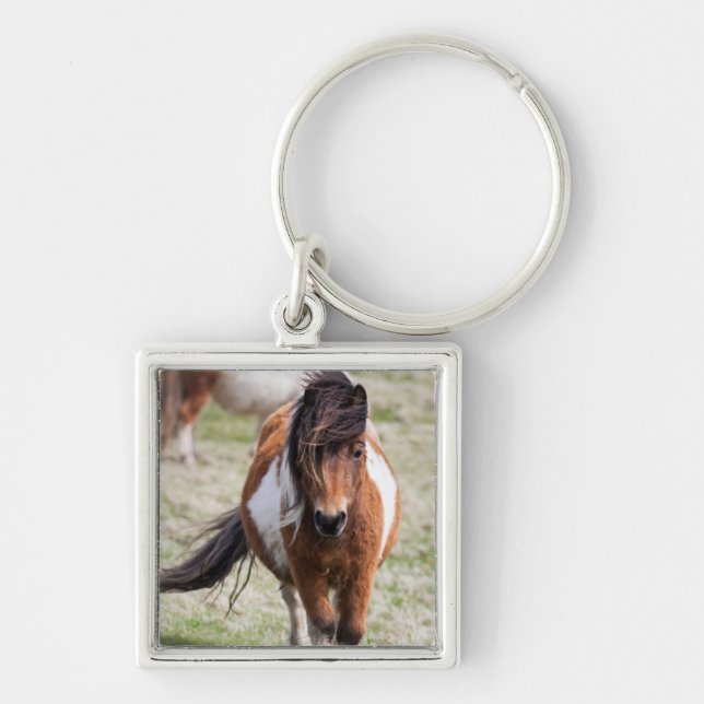 Chaveiro Shetland Pony, Ilhas Shetland (Frente)