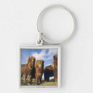 Chaveiro Shetland Pony, ilhas Shetland do continente,