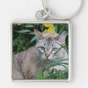 Chaveiro Siamese Cat