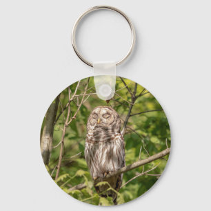 Chaveiro Sleepy Barred Owl