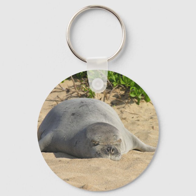 Chaveiro Sleepy Havaiano Monk Seal (Frente)
